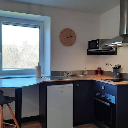 Studio Avec Vue Sur La Vezere Uzerche Buitenkant foto